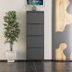 HANAH HOME Cipelarnik Locking Metal, antracit - EP3056556