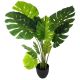 ATMOSPHERA Dekorativna biljka Monstera 84x79x110cm - 160037