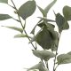 ATMOSPHERA Dekorativna biljka Eucalyptus sa vazom - 168579