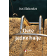 Dete jedne hulje - 9788661454189