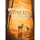 Bambi: Život u šumi - 9788682876007