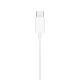 APPLE Slušalice za telefon EarPods USB-C, bela - 55010