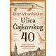 Ulica Čajkovskog 40 - 9788652155279