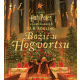 Božić u Hogvortsu - 9788630004117