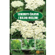 Lekoviti čajevi i biljni melemi - 9788663450592