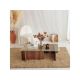 HANAH HOME Sto za dnevnu sobu Escape - 173170