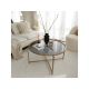 HANAH HOME Sto za dnevnu sobu Gold Sun S404F Gold Fume - 173364