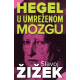 Hegel u umreženom mozgu - 9788661523335