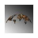 WALLXPERT Zidna dekoracija World Map Medium 3 - 174815