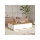 HANAH HOME Sto za dnevnu sobu FR14 AW - 175962