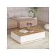 HANAH HOME Sto za dnevnu sobu FR14 AW - 175962