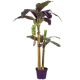 DEKOR DOM Drvo u saksiji BANANA 180cm 999104 - EDL - EP2880678
