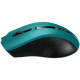 CANYON Miš MW-5, 2.4GHz Wireless Optical sa 4 tastera, zelena - CNE-CMSW05G