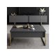 HANAH HOME Sto za dnevnu sobu Luxe Anthracite Gold 1 - 182045