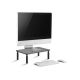 GEMBIRD Nosač za monitor MS-TABLE-01, stoni - 186563