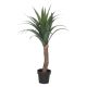 ATMOSPHERA Dekorativna biljka Yucca palma 70x110cm - 193790