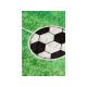Conceptum Hypnose Tepih Football - 193883