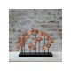 WALLXPERT Stona dekoracija GOLDFISH 2 - 196020