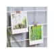 WALLXPERT Zidna dekoracija WR001 - 196051