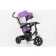 WINNER BIKE BIC.HH-6388 TRIKE PURPLE - BCK0325