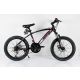 WINNER BIKE BIC.20