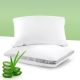 Homemates Jastuk Aloe Vera – Set od 2 komada od memorijske pene - EP3090364