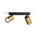 PHILIPS Spot lampa Idris GU10 2x5W IP44 - 20653-1