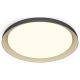 PHILIPS Plafonjera Pebblo LED 10W 27K crna - 20663