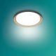 PHILIPS Plafonjera Pebblo LED 10W 40K crna - 20664