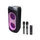 MICROLAB Bežični Bluetooth zvučnik PT802W, crna - 208320