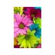 CONCEPTUM HYPNOSE Tepih (160x230) WOOKECE070 - 215915