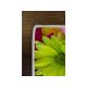 CONCEPTUM HYPNOSE Tepih (160x230) WOOKECE070 - 215915