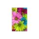 CONCEPTUM HYPNOSE Tepih (160x230) WOOKECE070 - 215915