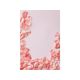 CONCEPTUM HYPNOSE Tepih (160x230) WOOKECE080 - 215929