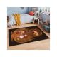 CONCEPTUM HYPNOSE Tepih (160x230) Hmı Kdc 67 - 216293