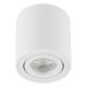 FORMA Plafonska lampa AFS114-1C WH - EP2782354