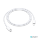 Kućni Punjač Pluginn AJ-20 A2347 EMC3621 PD Fast 20W za iPhone 11-14 sa PD lightning kablom CE beli - EP2871049