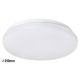 Rabalux Plafonjera Rob LED 20W bela (2284) - 2284-1