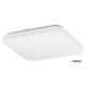 Rabalux Plafonjera Rob LED 32W bela (2287) - 2287-1