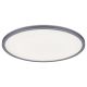 Rabalux Plafonjera Rasmus LED 22W srebrna (2290) - 2290-1-1