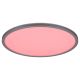 Rabalux Plafonjera Rasmus LED 22W srebrna (2290) - 2290-1-1