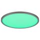 Rabalux Plafonjera Rasmus LED 22W srebrna (2290) - 2290-1-1