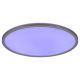 Rabalux Plafonjera Rasmus LED 22W srebrna (2290) - 2290-1-1