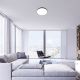 Rabalux Plafonjera Rasmus LED 22W srebrna (2290) - 2290-1-1