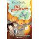 Pet prijatelja u tajanstvenoj pustari 13 - 24012-1