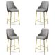HANAH HOME Set barskih stolica Enox 4/1, siva/zlatna - 240CHR1347