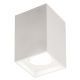 RABALUX Ugradna rasveta Maddox mat bela, E27 60W - 2486