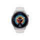 DENVER Pametni sat SWC-392GR, siva - RB30955