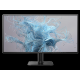 Monitor PHILIPS 24E2N1110/00 23,8