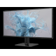 Monitor PHILIPS 24E2N1110/00 23,8
